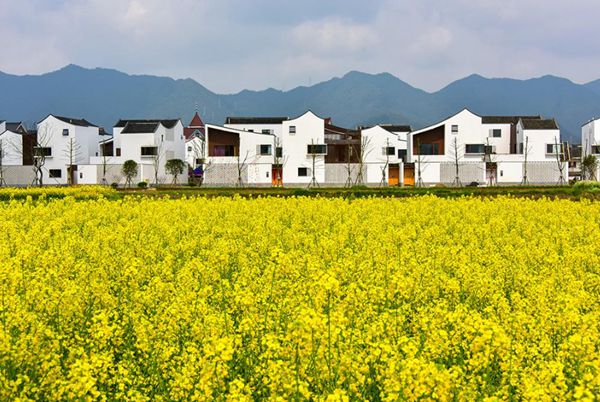 輕鋼別墅建設鄉村特色小鎮 全程環(huán)保材料(圖1)