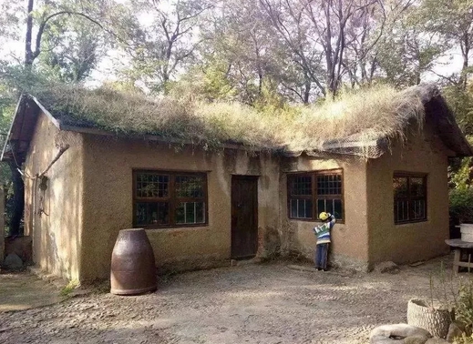 住房在進(jìn)步—時(shí)代呼喚環(huán)保建筑在廣大農村大展身手(圖3) 土墻屋